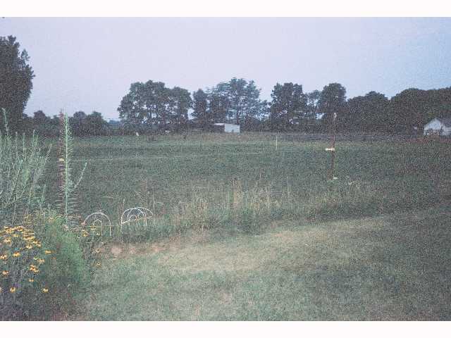 5915 Bausch Road Galloway, OH 43119 - Photo 5 of 6
