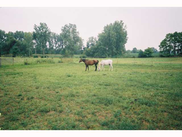 5915 Bausch Road Galloway, OH 43119 - Photo 6 of 6