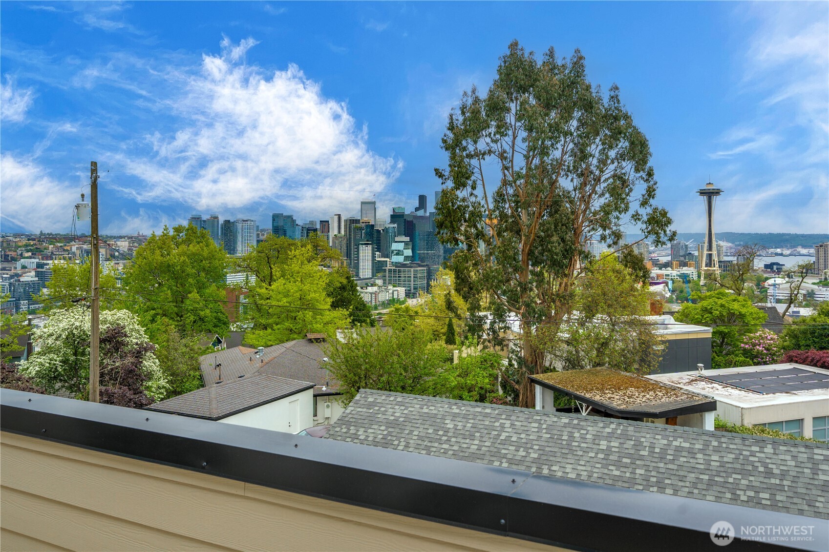 321 Lee Street Seattle, WA 98109 - Photo 30 of 40