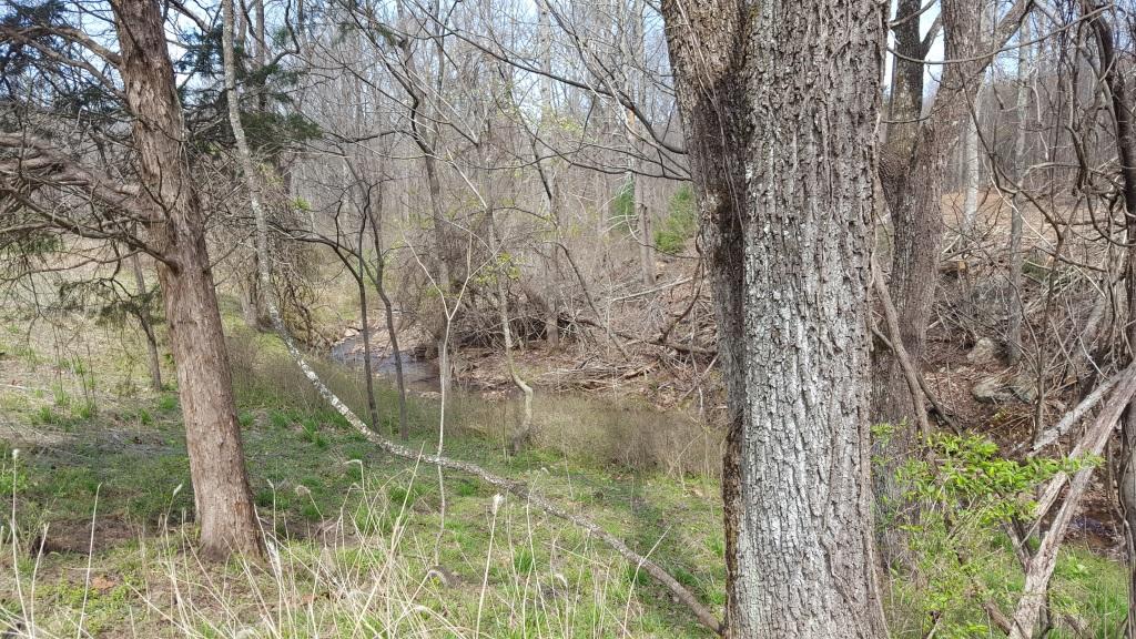 1300 Audrey Lane Blue Ridge, VA 24064 - Photo 2 of 9 BabblingBrook
