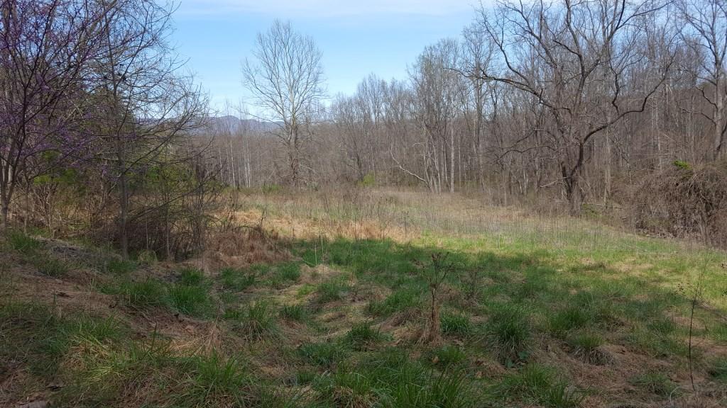 1300 Audrey Lane Blue Ridge, VA 24064 - Photo 4 of 9 Mountain Views