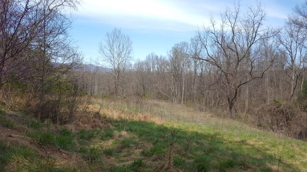 1300 Audrey Lane Blue Ridge, VA 24064 - Photo 5 of 9 20170402_144050