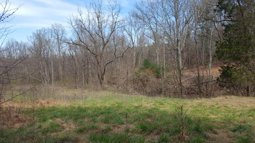 1300 Audrey Lane Blue Ridge, VA 24064 - Photo 6 of 9 20170402_143533