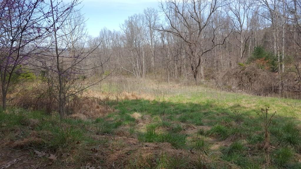 1300 Audrey Lane Blue Ridge, VA 24064 - Photo 7 of 9 20170402_144114