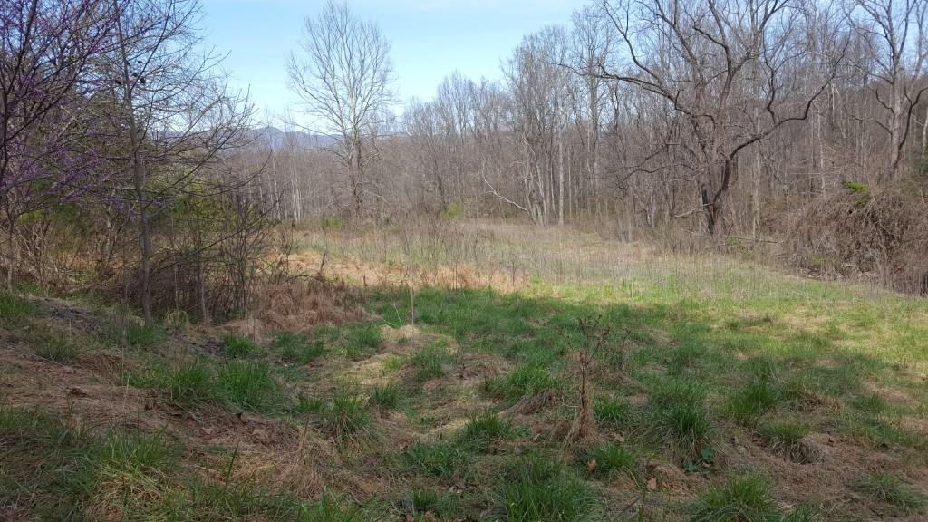 1300 Audrey Lane Blue Ridge, VA 24064 - Photo 8 of 9 20170402_144103_002