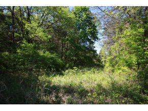 928 Old Cemetery Road Greeneville, TN 37745 - Photo 3 of 6 Photo 3