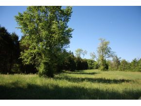928 Old Cemetery Road Greeneville, TN 37745 - Photo 4 of 6 Photo 4