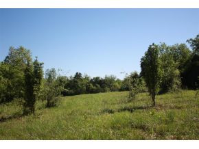 928 Old Cemetery Road Greeneville, TN 37745 - Photo 6 of 6 Photo 6
