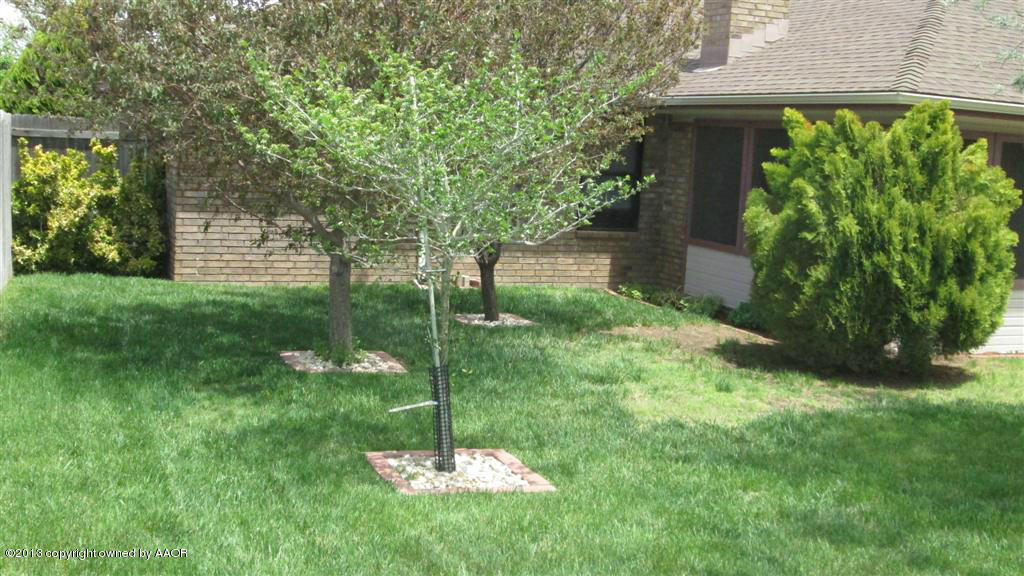 4211 Relatta Avenue Amarillo, TX 79110 - Photo 30 of 41 a backyard of a house with lots of green space