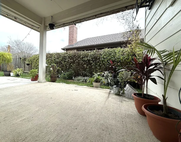 a view of a floor to ceiling window and a tree
