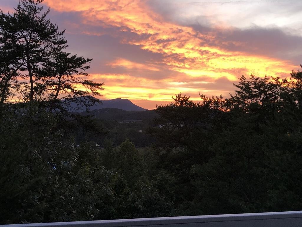 425 Stone Ridge Way, Unit AMAZINGSUNSETS Pigeon Forge, TN 37863 - Photo 8 of 36 Gallery Image 8