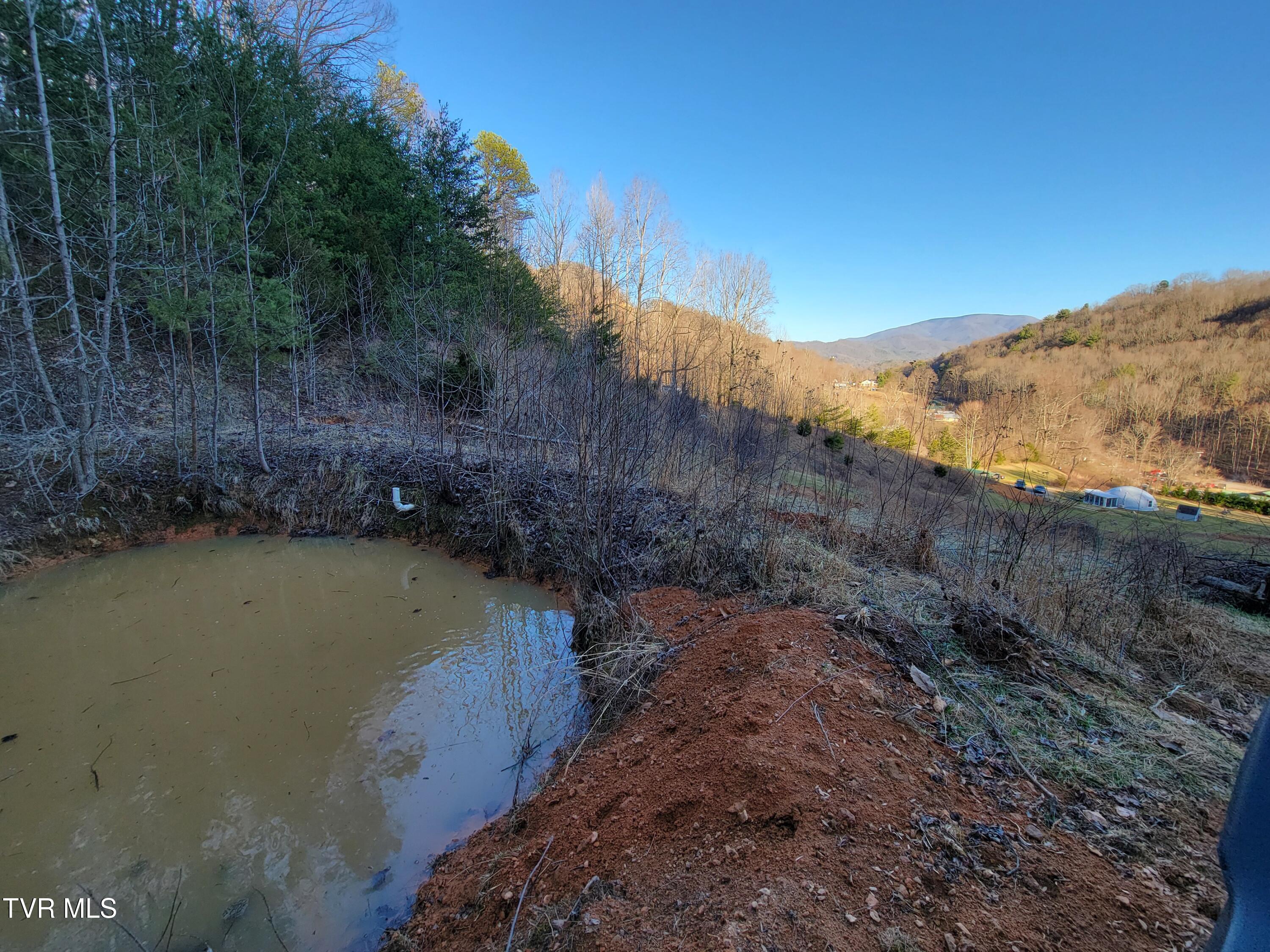 1701 Jonesborough Road Erwin, TN 37650 - Photo 30 of 48 20250203_161608