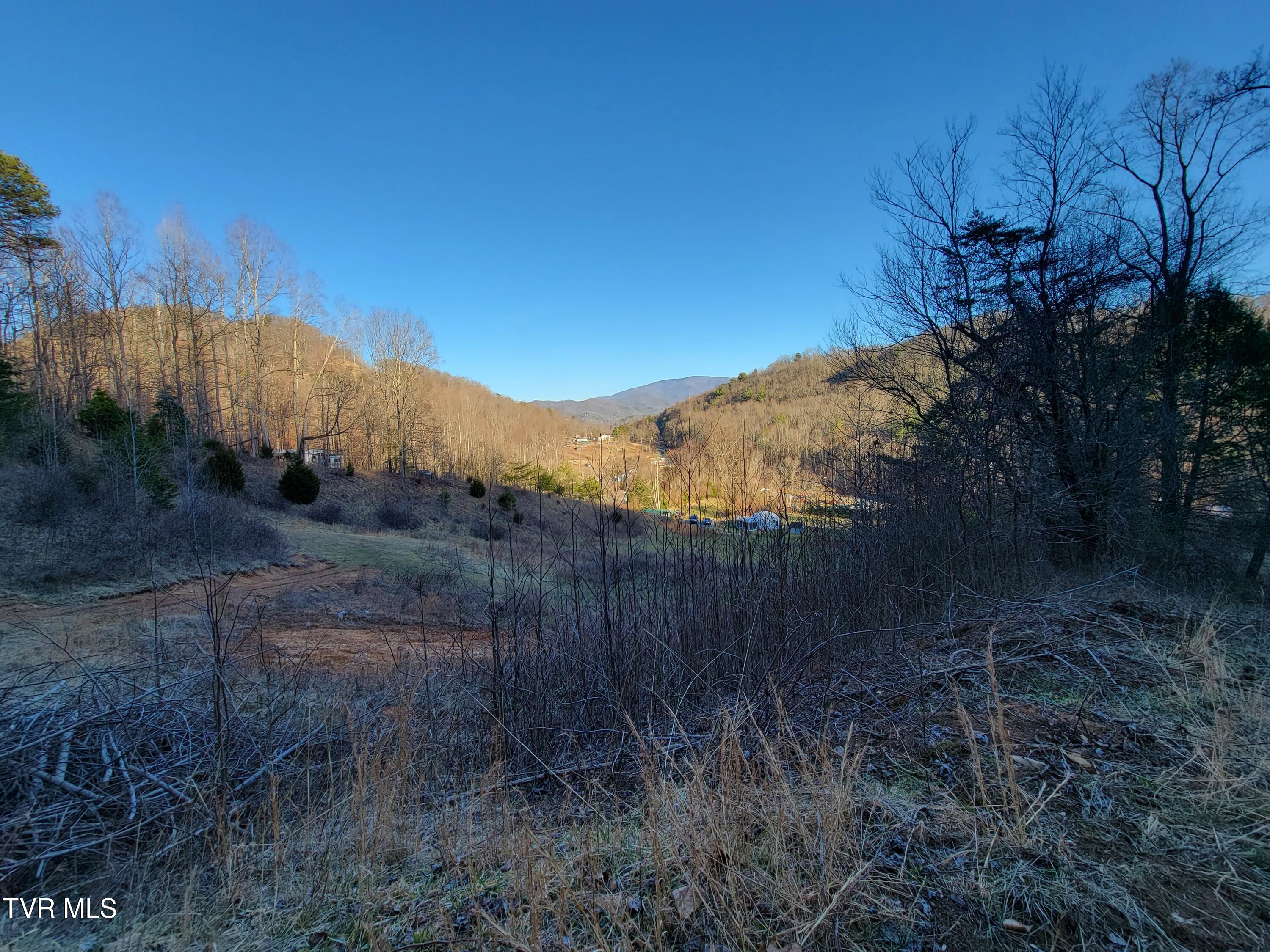 1701 Jonesborough Road Erwin, TN 37650 - Photo 31 of 48 20250203_161643