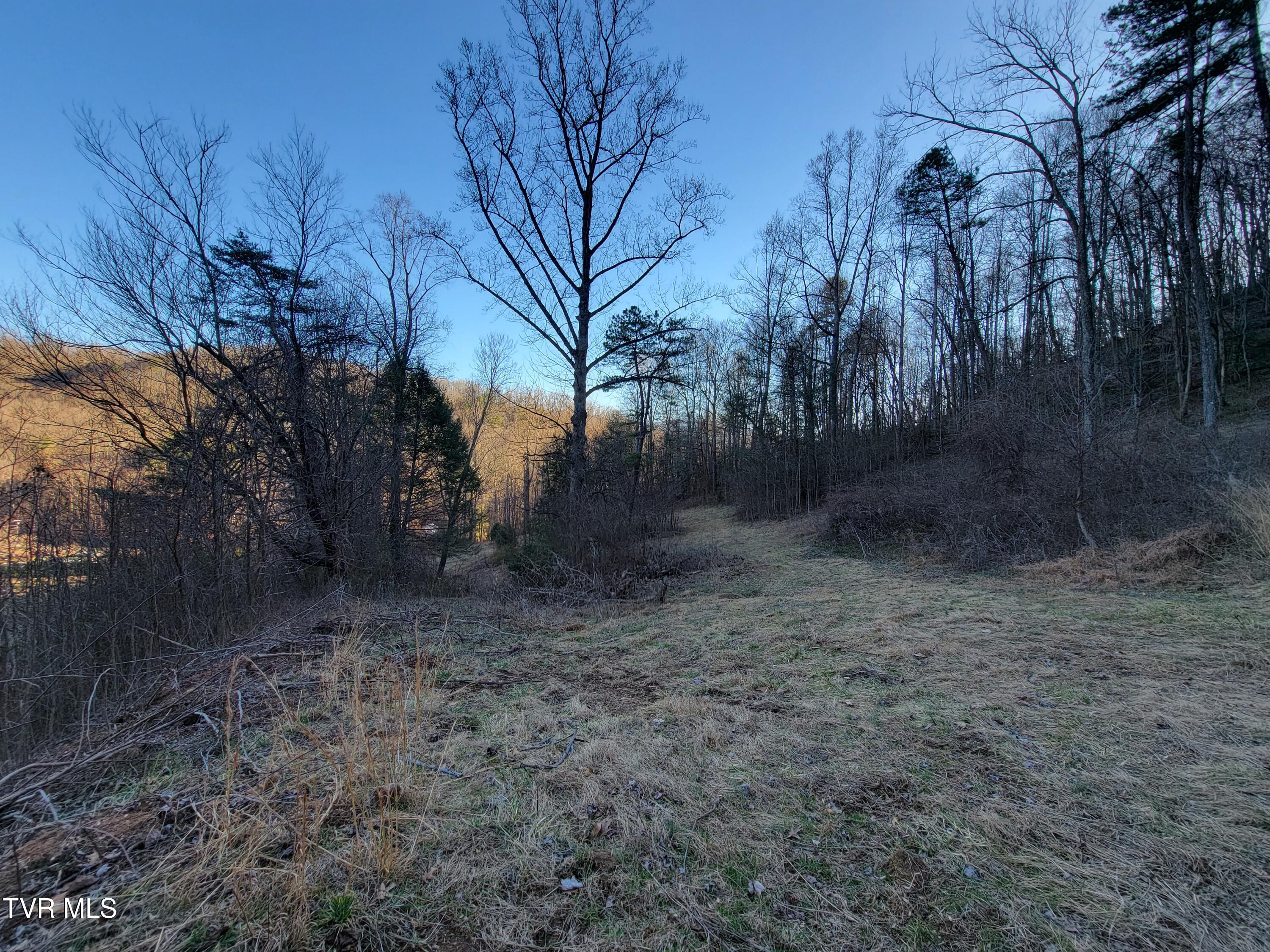 1701 Jonesborough Road Erwin, TN 37650 - Photo 32 of 48 20250203_161651