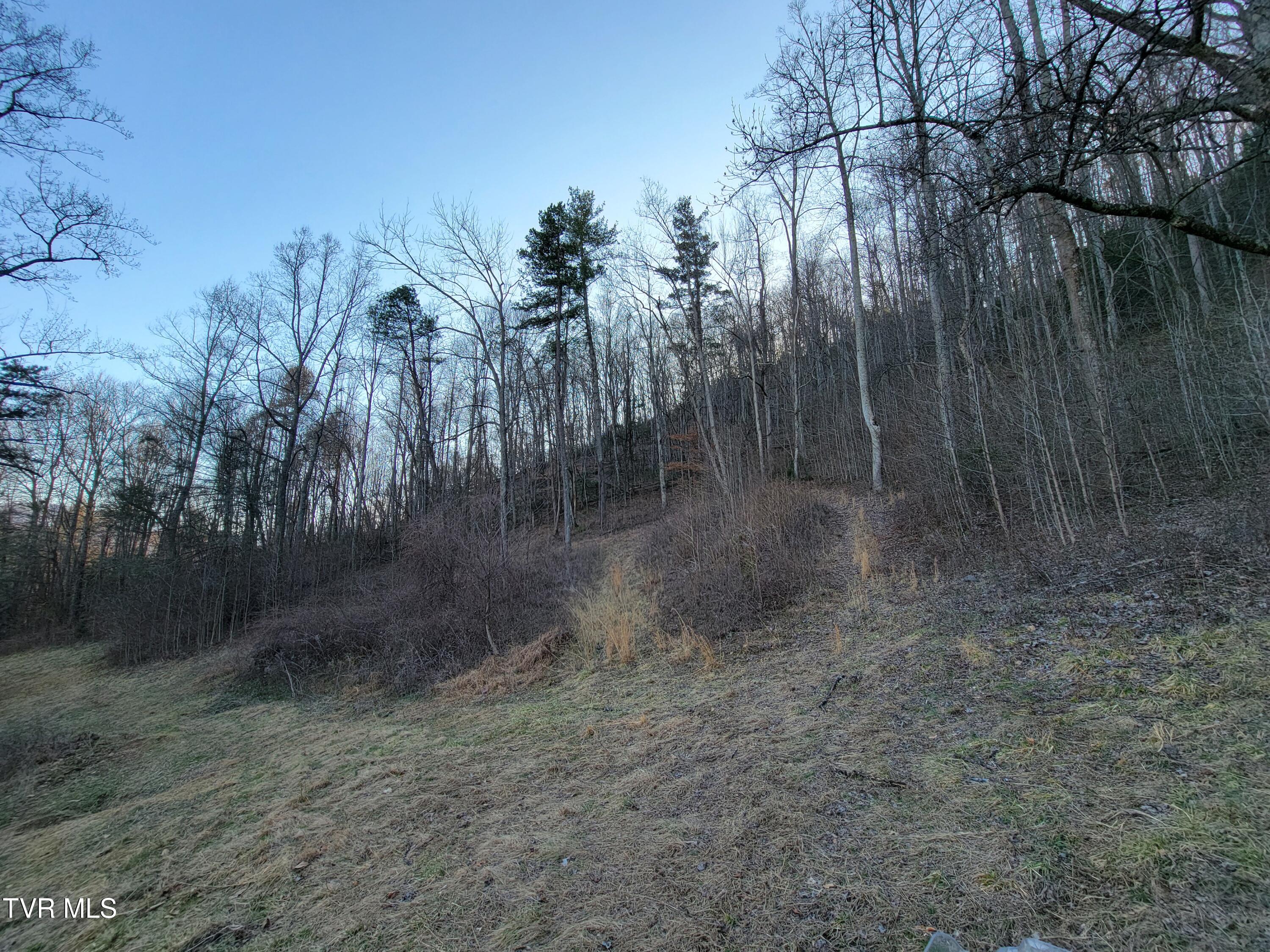 1701 Jonesborough Road Erwin, TN 37650 - Photo 33 of 48 20250203_161704