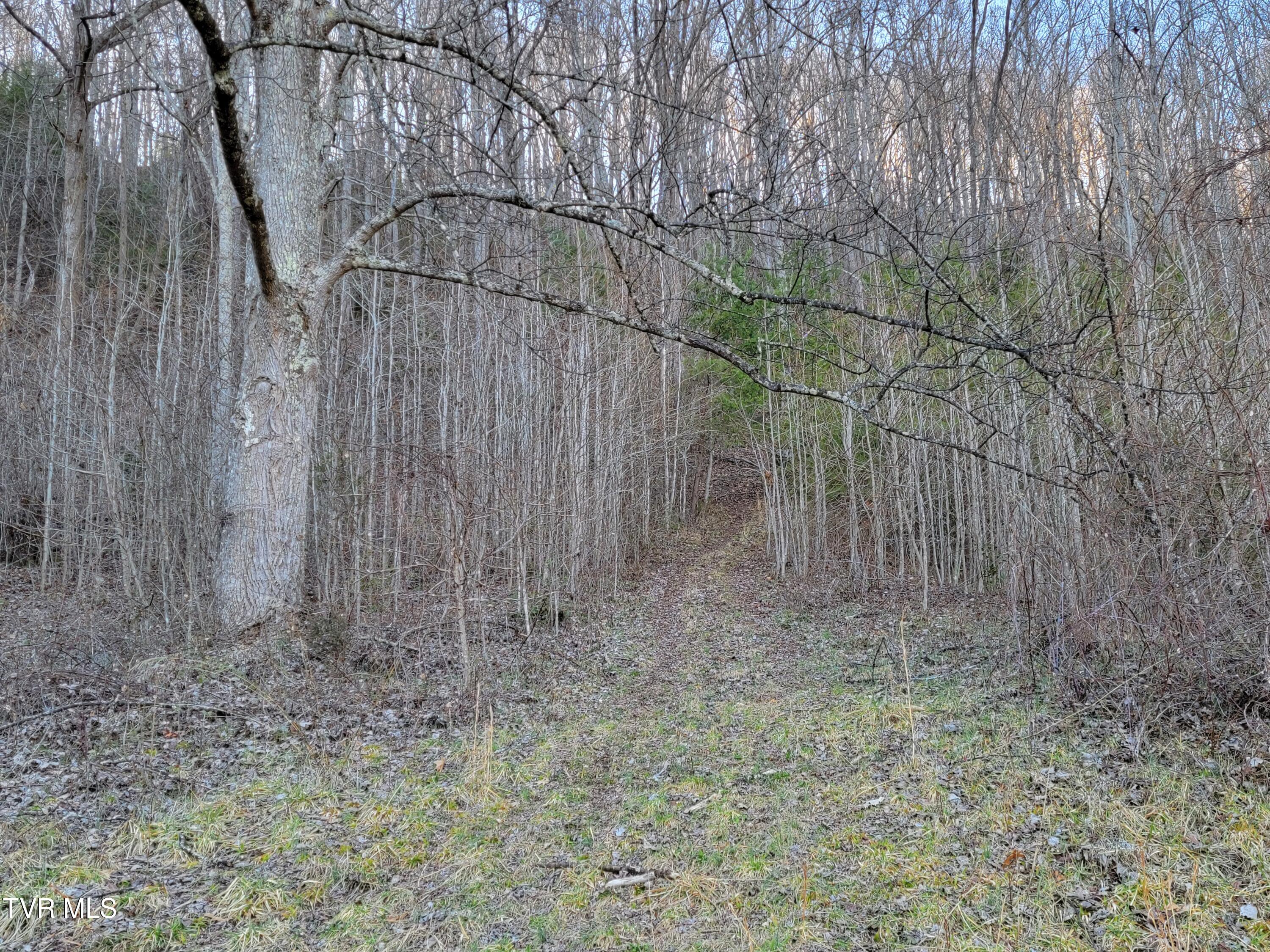 1701 Jonesborough Road Erwin, TN 37650 - Photo 34 of 48 20250203_161719