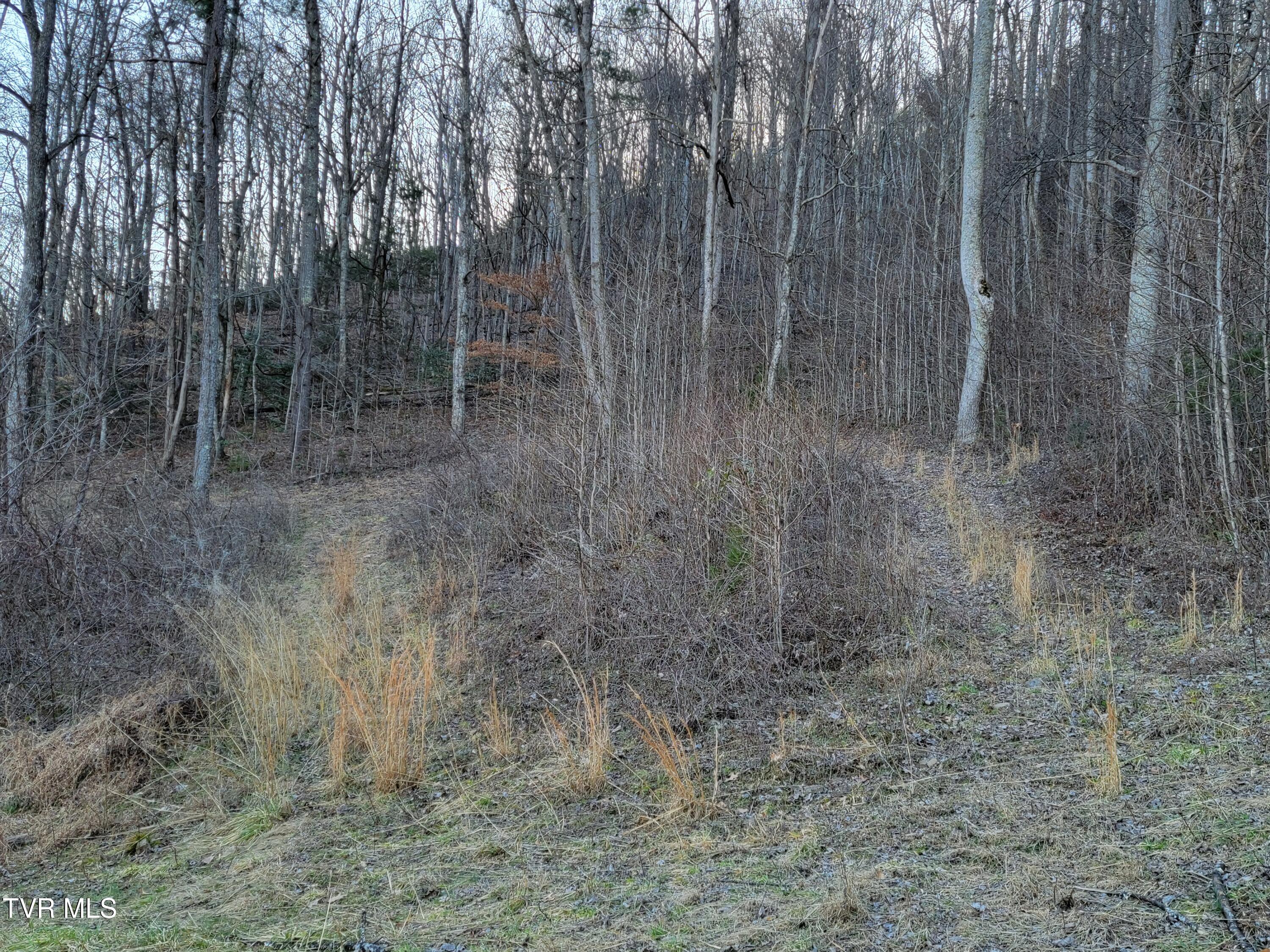 1701 Jonesborough Road Erwin, TN 37650 - Photo 35 of 48 20250203_161723