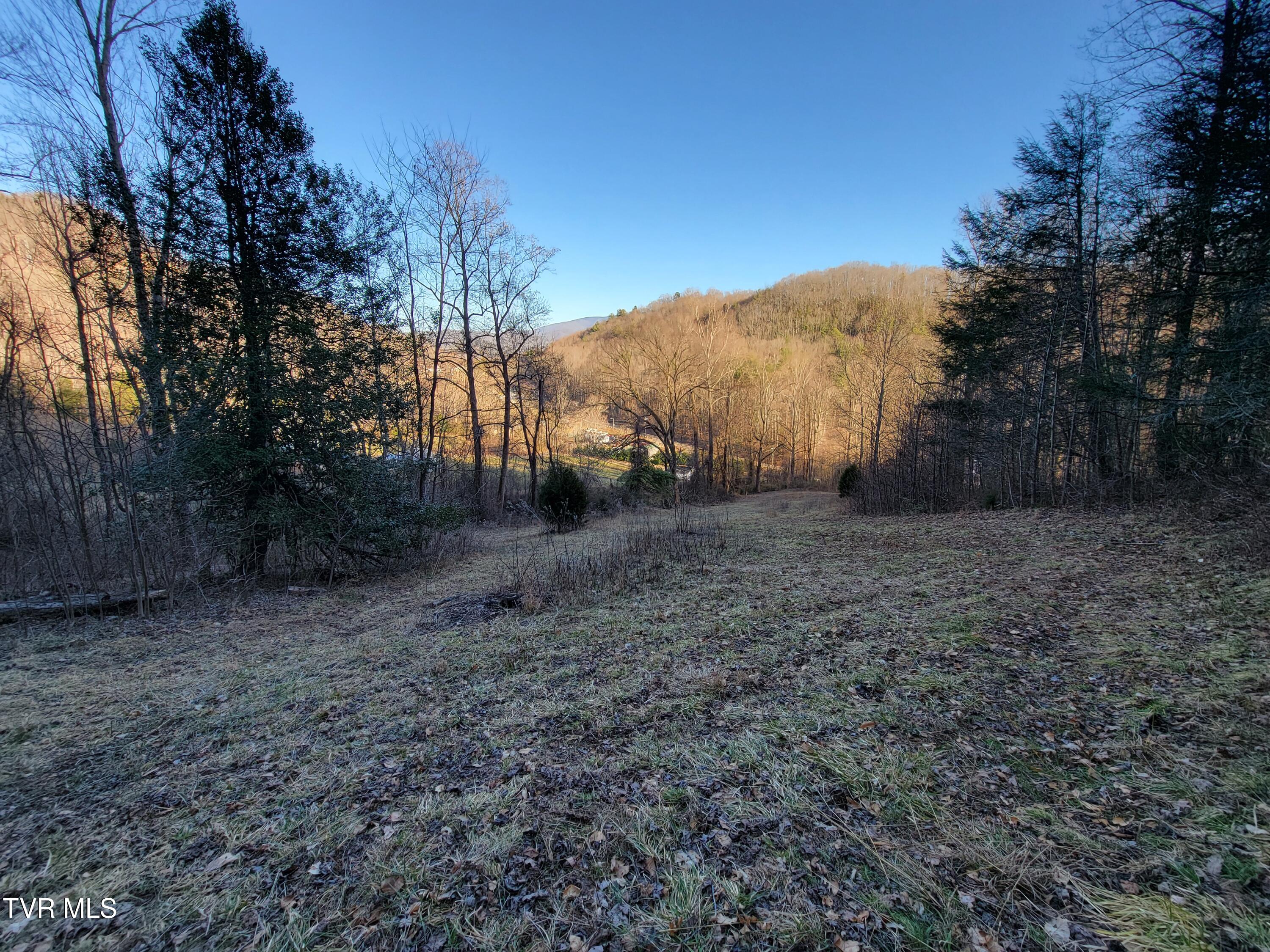 1701 Jonesborough Road Erwin, TN 37650 - Photo 36 of 48 20250203_161756