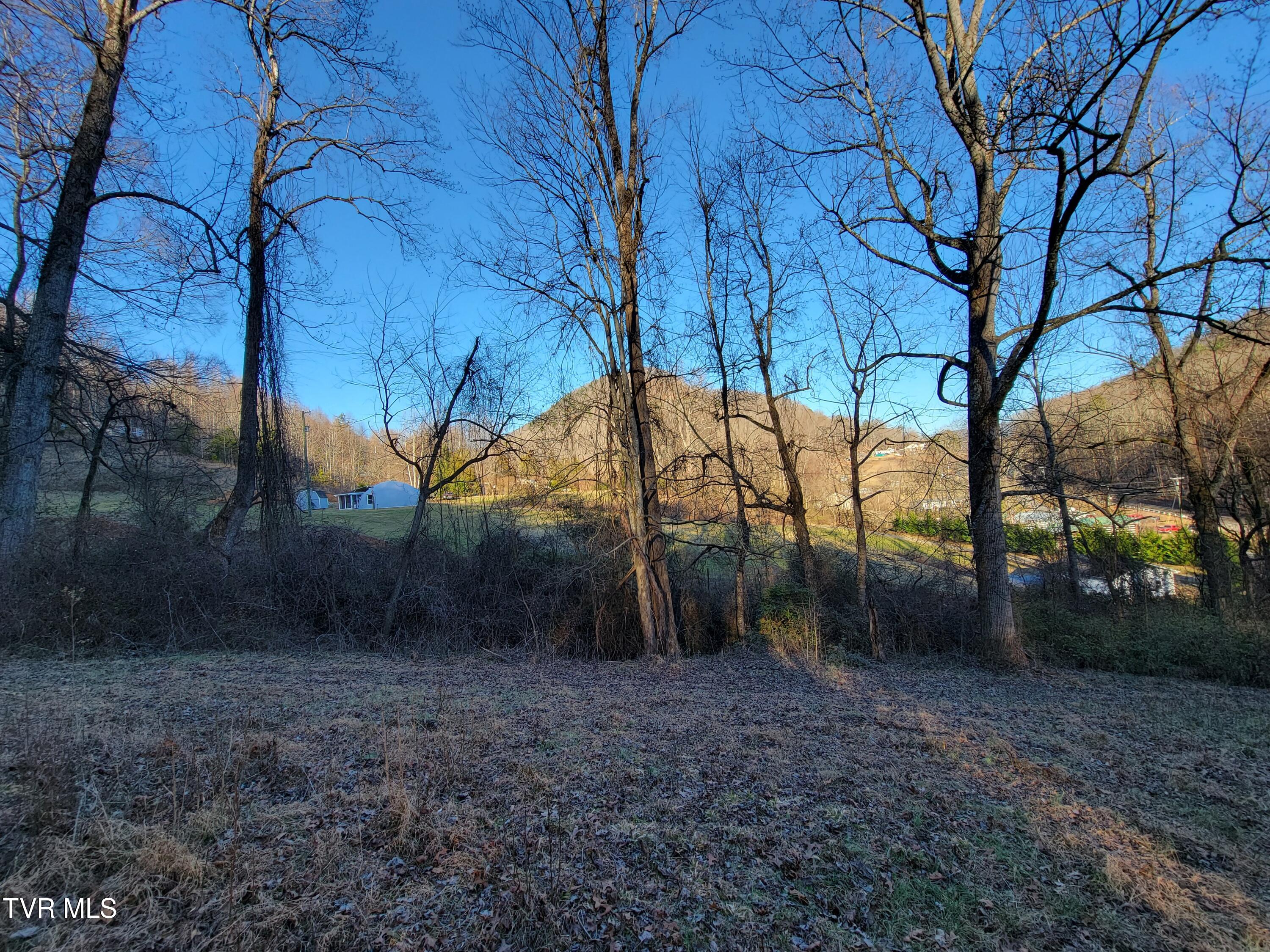 1701 Jonesborough Road Erwin, TN 37650 - Photo 38 of 48 20250203_161908