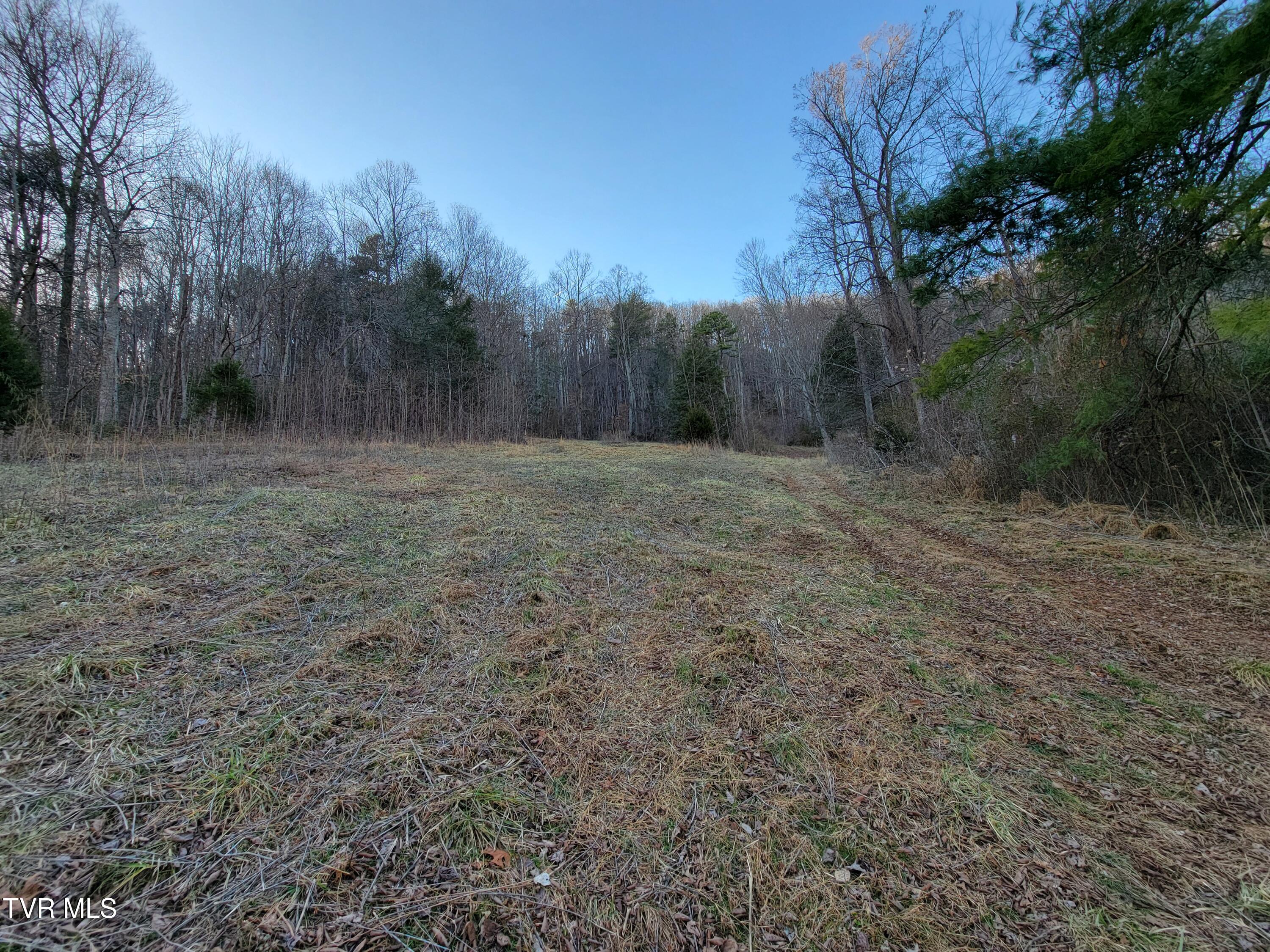 1701 Jonesborough Road Erwin, TN 37650 - Photo 40 of 48 20250203_162107