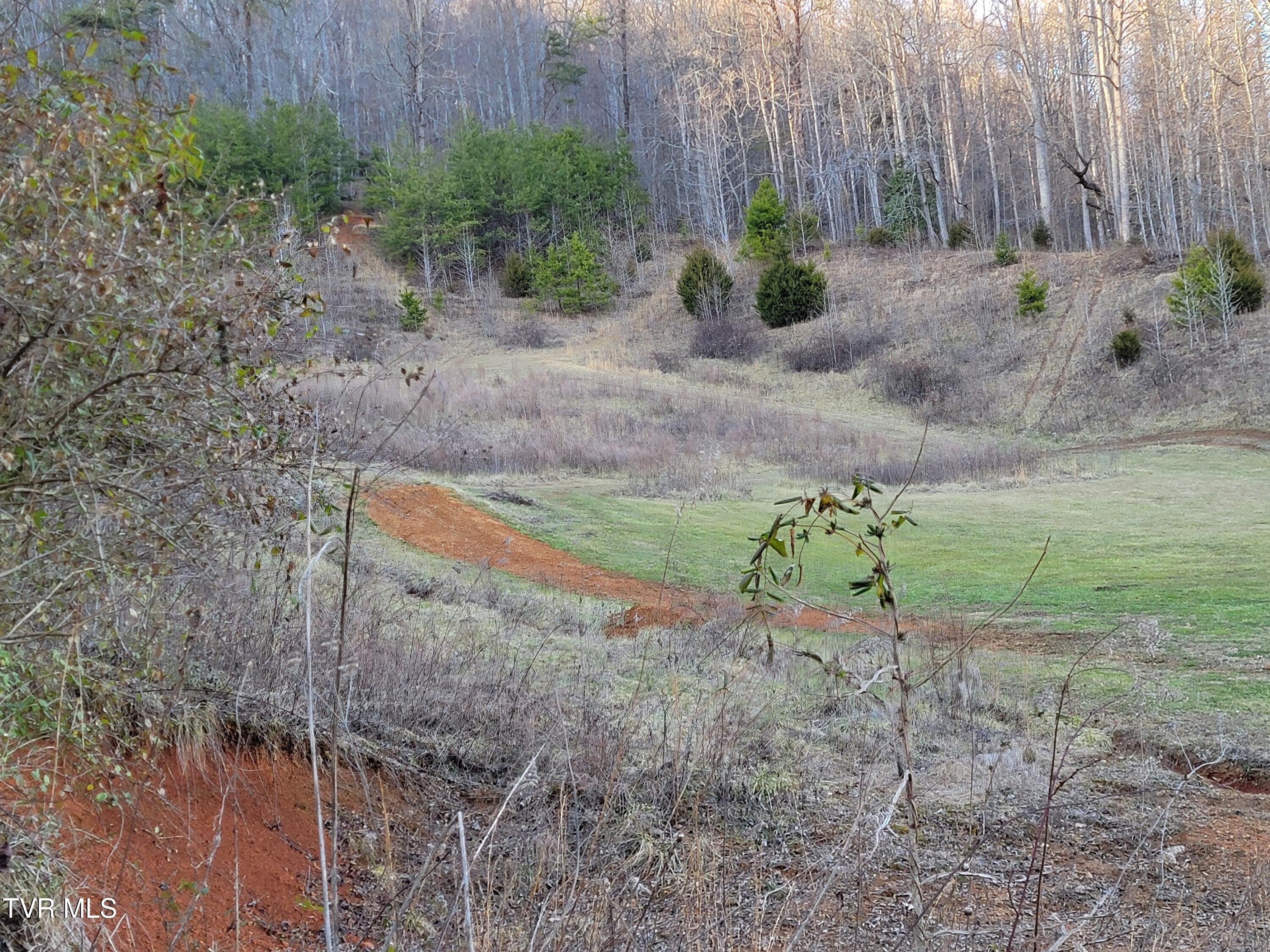 1701 Jonesborough Road Erwin, TN 37650 - Photo 42 of 48 20250203_162140