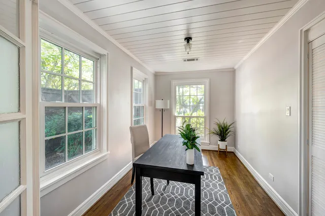 a room with furniture and a potted plant