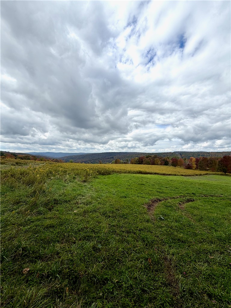 Gallop Hill Road Walton, NY 13856 - Photo 46 of 48 Land on top