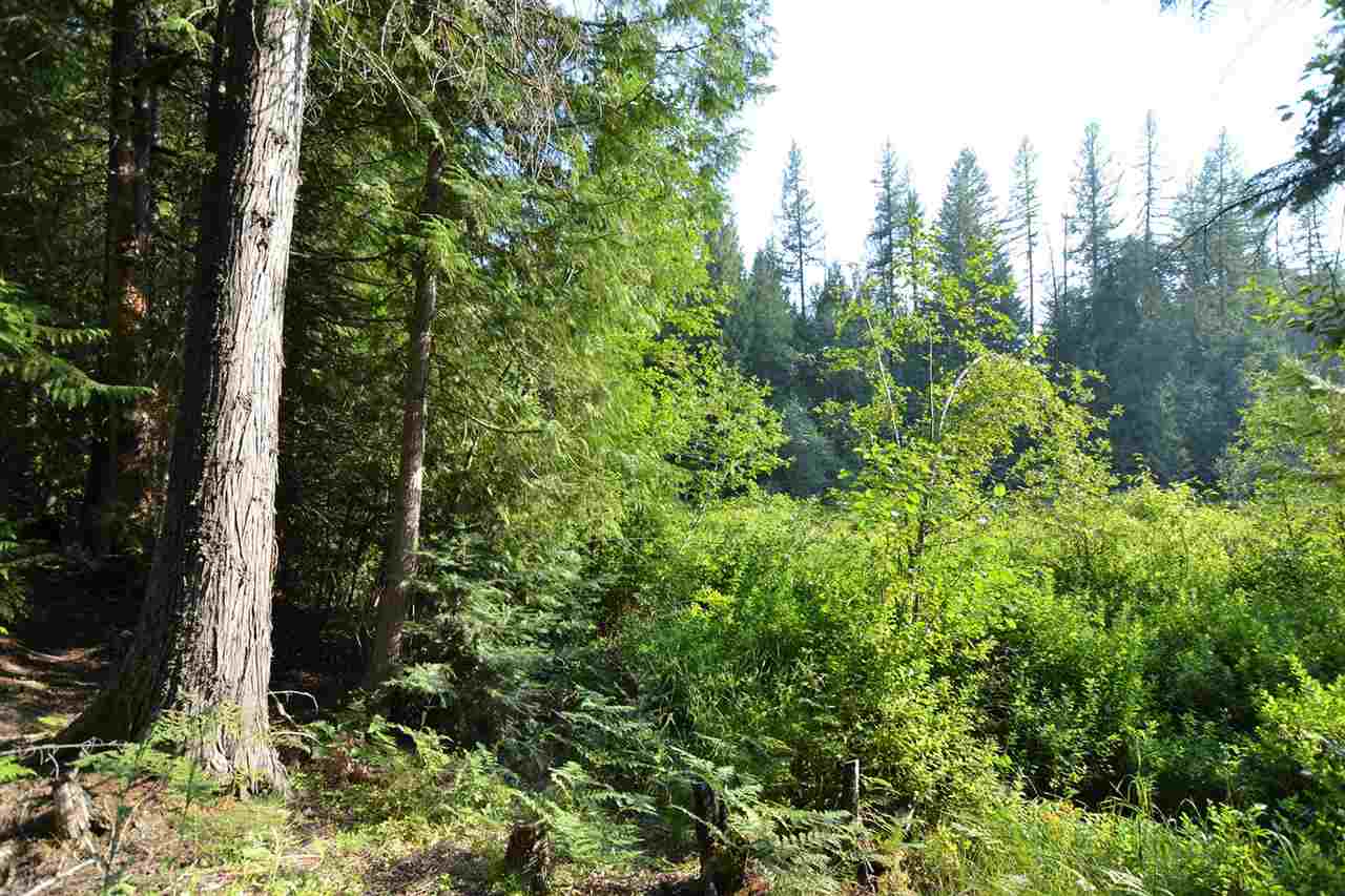 132 Shale Road, Unit L5 B2 Newport, WA 99156 - Photo 11 of 18