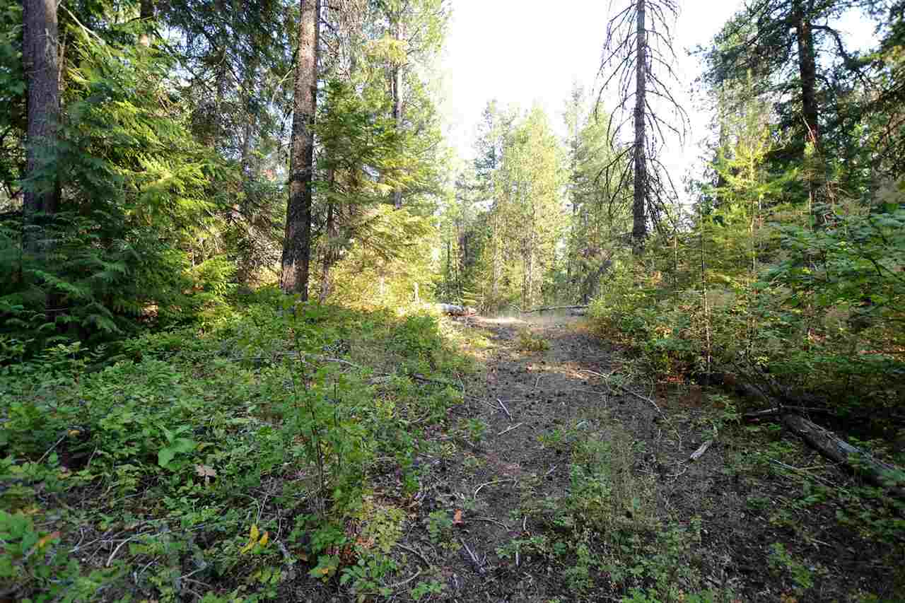 132 Shale Road, Unit L5 B2 Newport, WA 99156 - Photo 12 of 18
