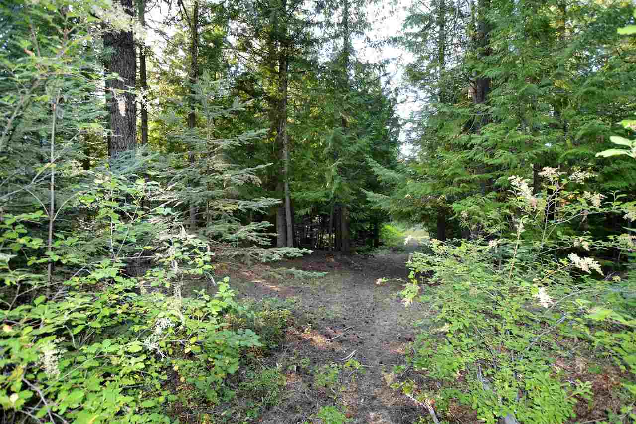132 Shale Road, Unit L5 B2 Newport, WA 99156 - Photo 13 of 18