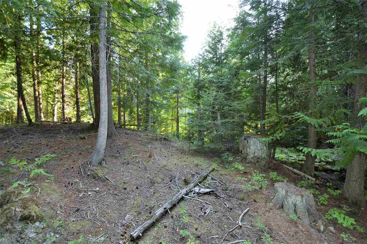 132 Shale Road, Unit L5 B2 Newport, WA 99156 - Photo 14 of 18