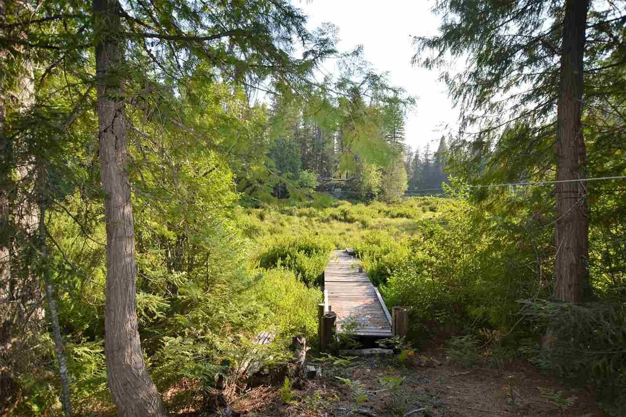 132 Shale Road, Unit L5 B2 Newport, WA 99156 - Photo 4 of 18
