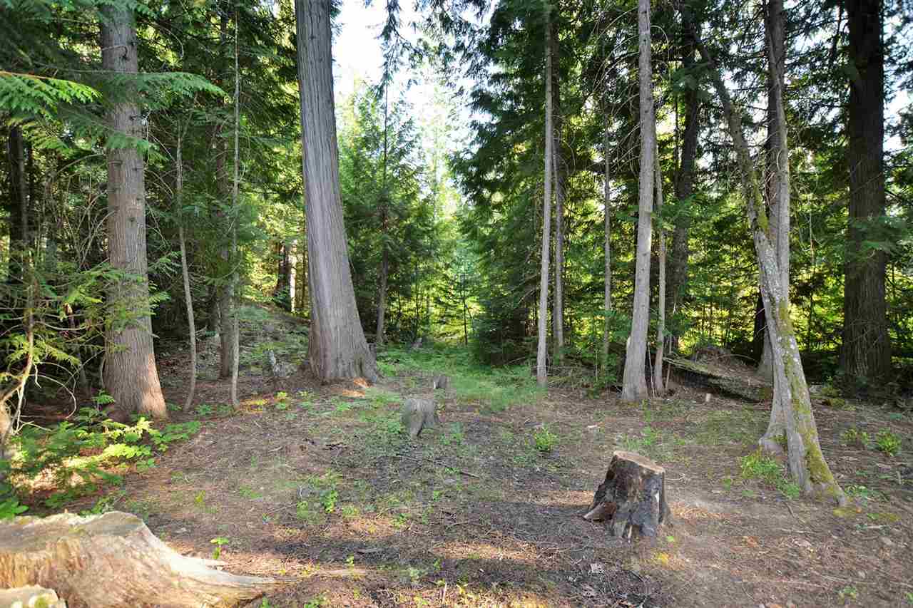 132 Shale Road, Unit L5 B2 Newport, WA 99156 - Photo 8 of 18