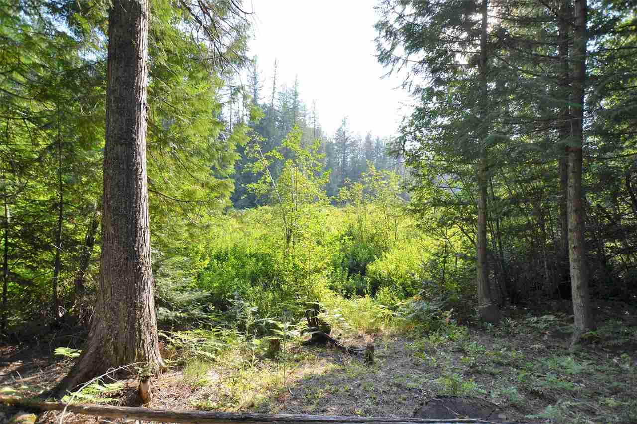 132 Shale Road, Unit L5 B2 Newport, WA 99156 - Photo 9 of 18