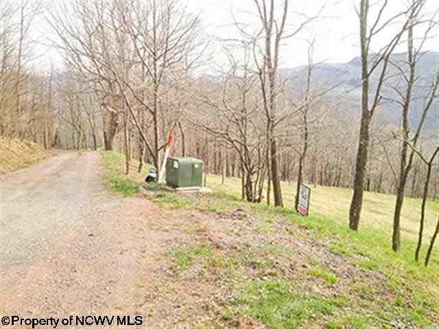 38 Meadows Road West Harman, WV 26270 - Photo 20 of 31 Gallery Image 20