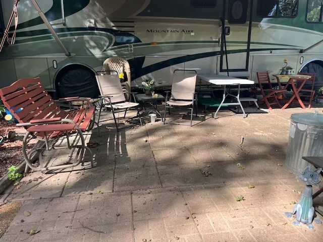 a view of a bench in a garden