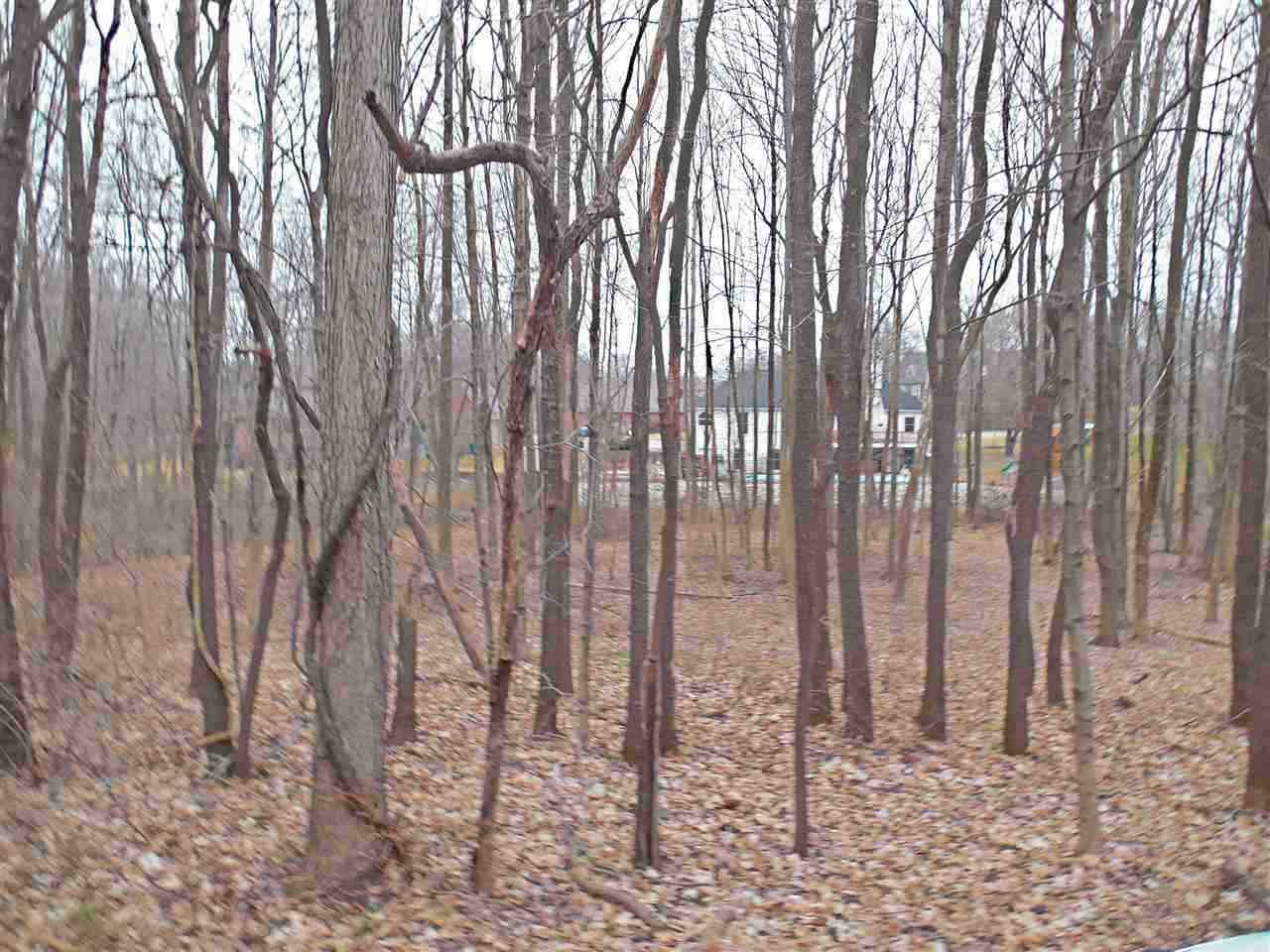 0 Fuquay Road Newburgh, IN 47630 - Photo 1 of 8