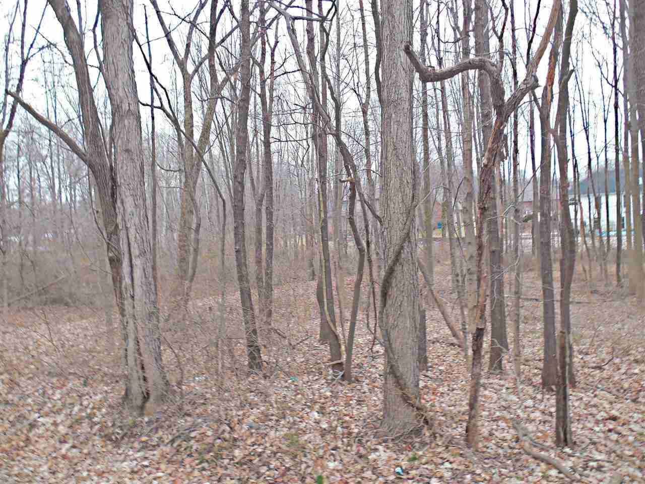 0 Fuquay Road Newburgh, IN 47630 - Photo 2 of 8