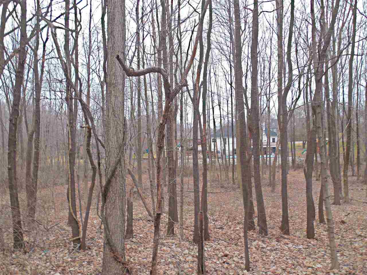 0 Fuquay Road Newburgh, IN 47630 - Photo 3 of 8