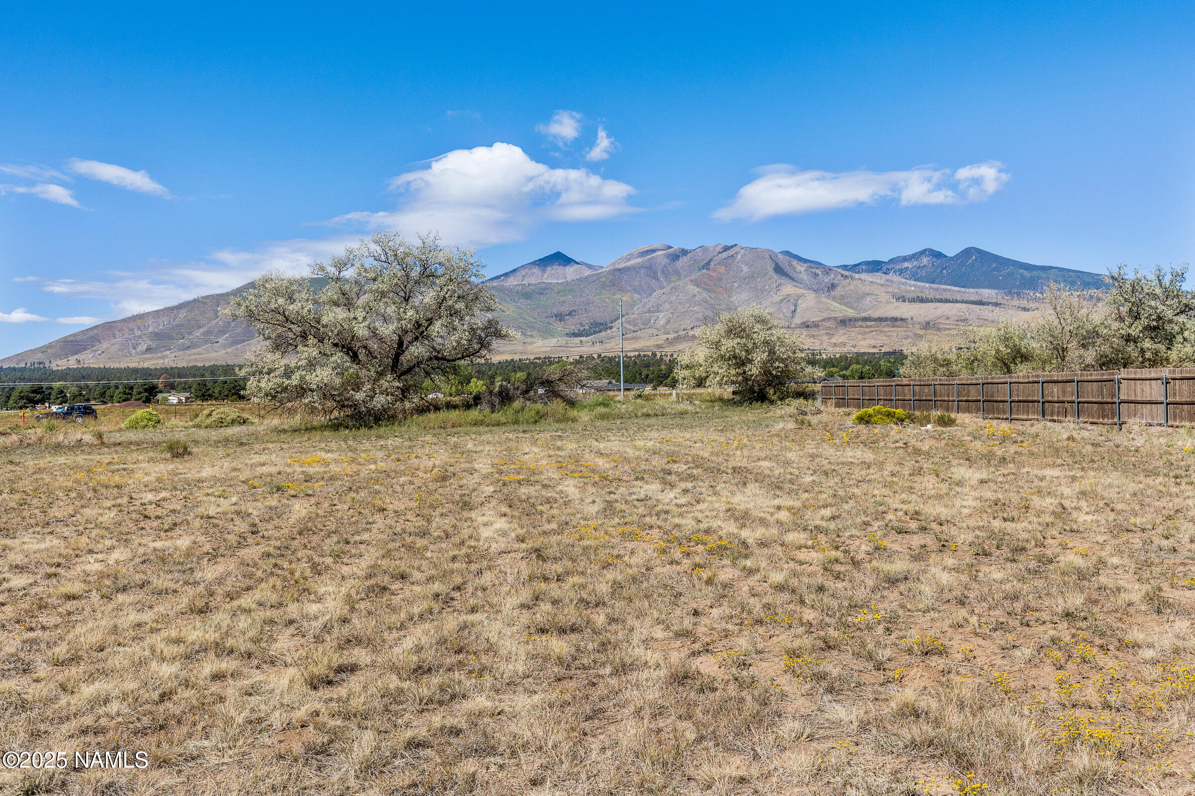 6040 East Robles Road Flagstaff, AZ 86004 - Photo 8 of 38 6040 E Robles-009
