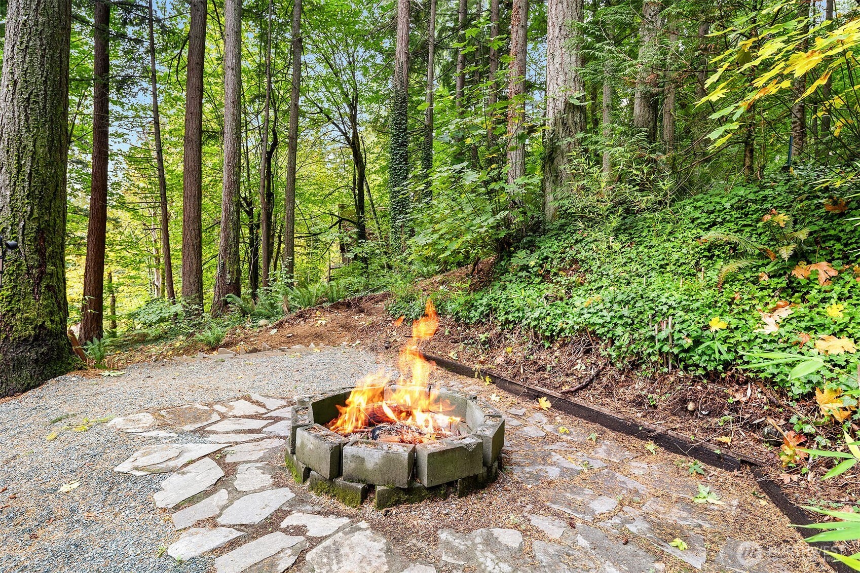 25156 Southeast 158th Street Issaquah, WA 98027 - Photo 23 of 30 a view of a backyard with table and chairs and plants