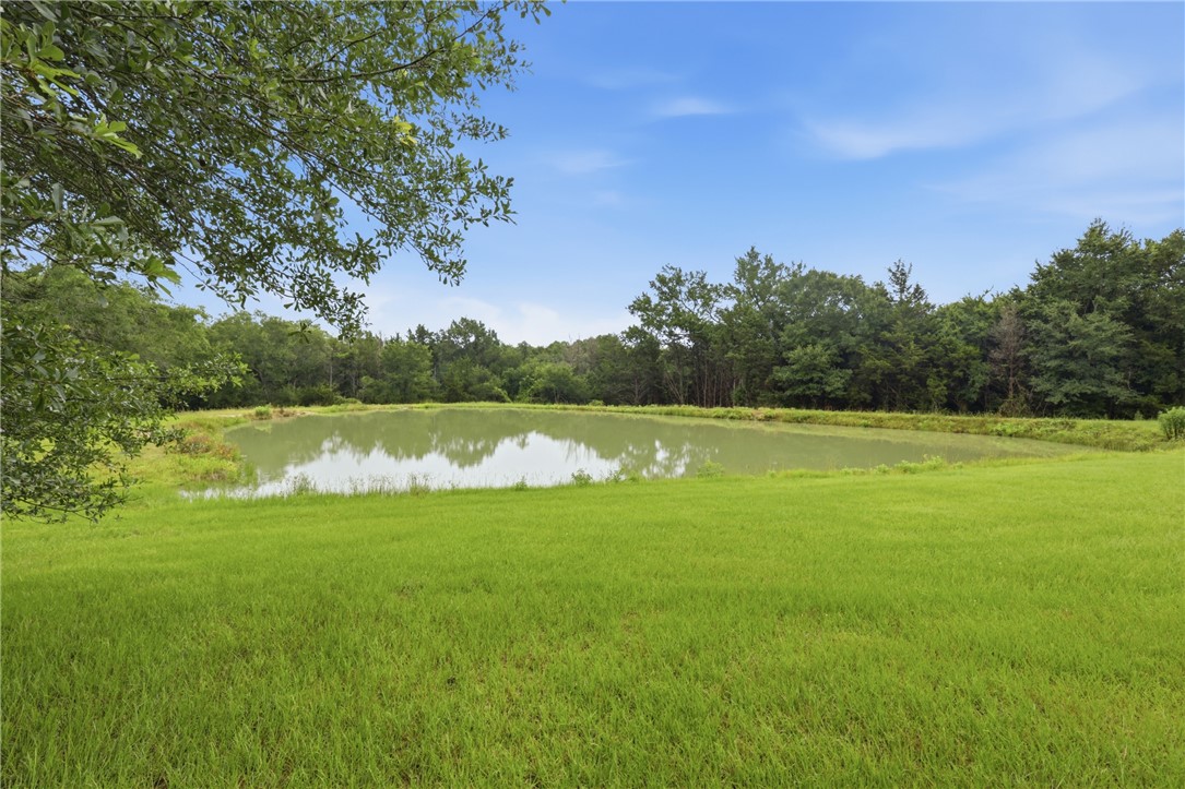 18578 Old Bundick Road Bryan, TX 77808 - Photo 41 of 44