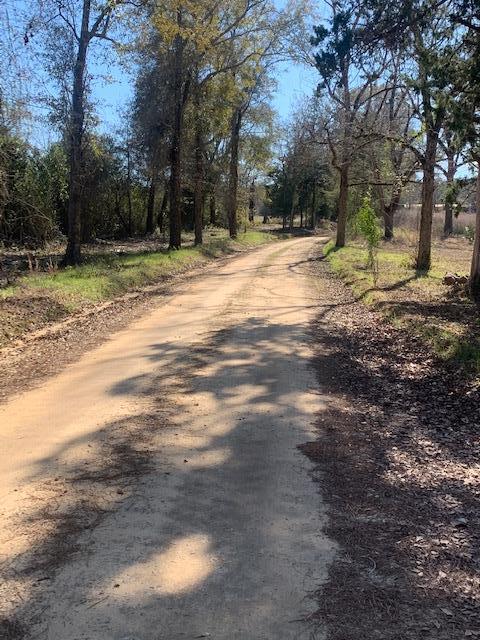 0 Box Road Dothan, AL 36301 - Photo 5 of 6