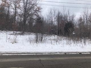 V/l Beckley Road Battle Creek, MI 49014 - Photo 1 of 2 pic 1
