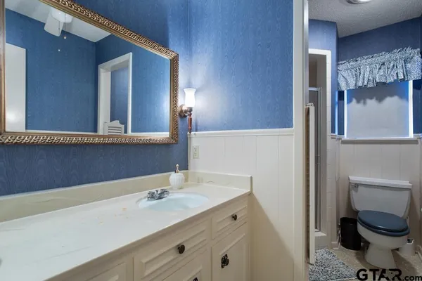 a bathroom with a sink a toilet and a mirror