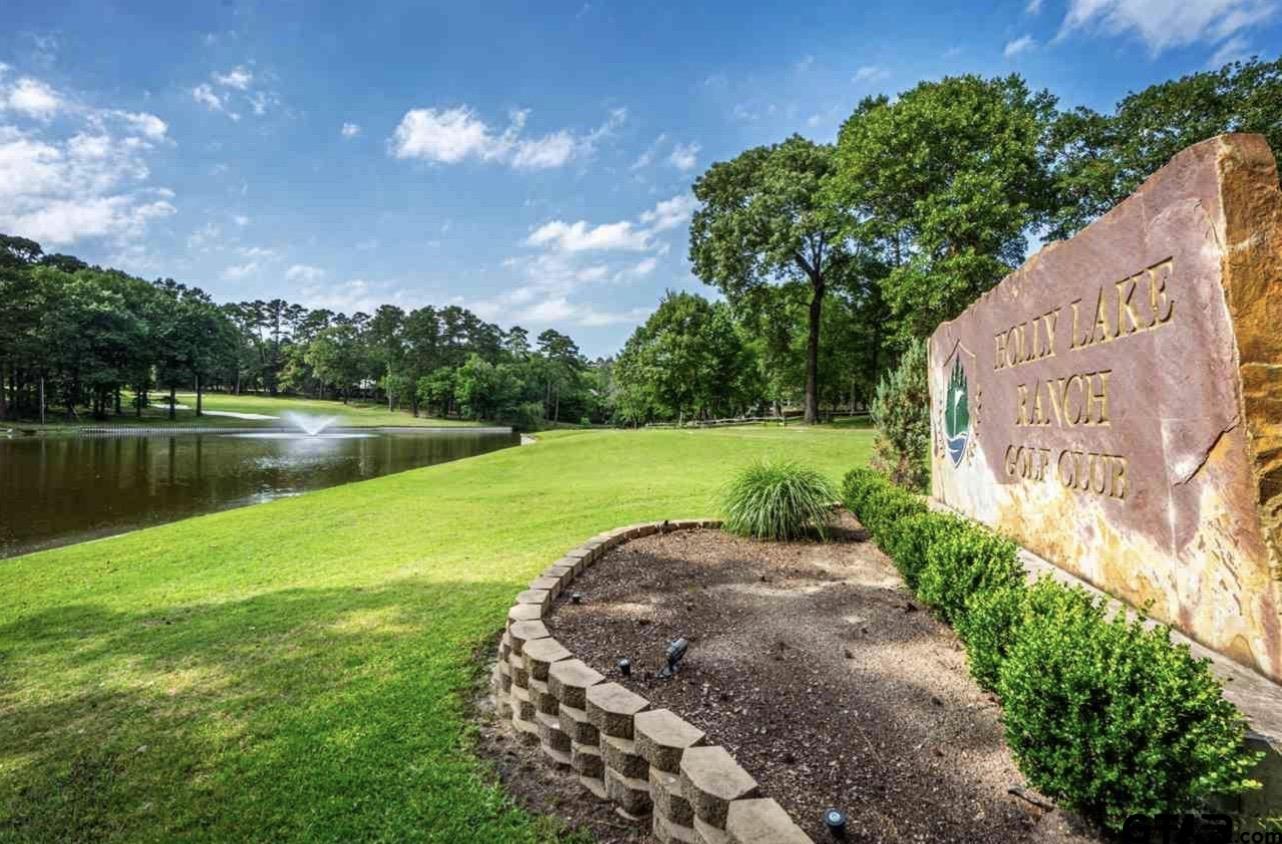 202 Pine Tree Holly Lake Ranch, TX 75765 - Photo 37 of 40 Gallery Image 37