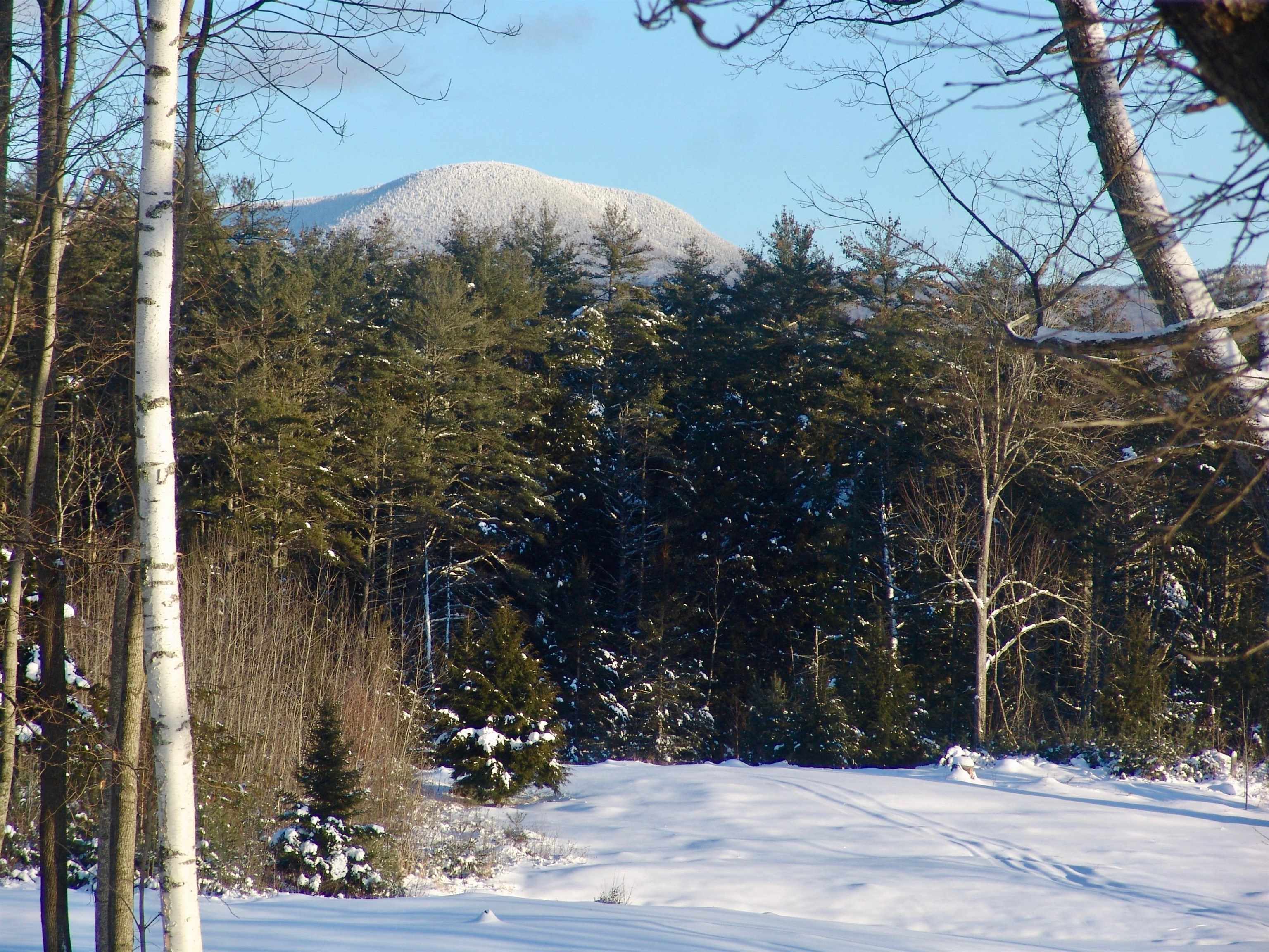 68 Breck Hill Road Lyme, NH 03768 - Photo 3 of 5
