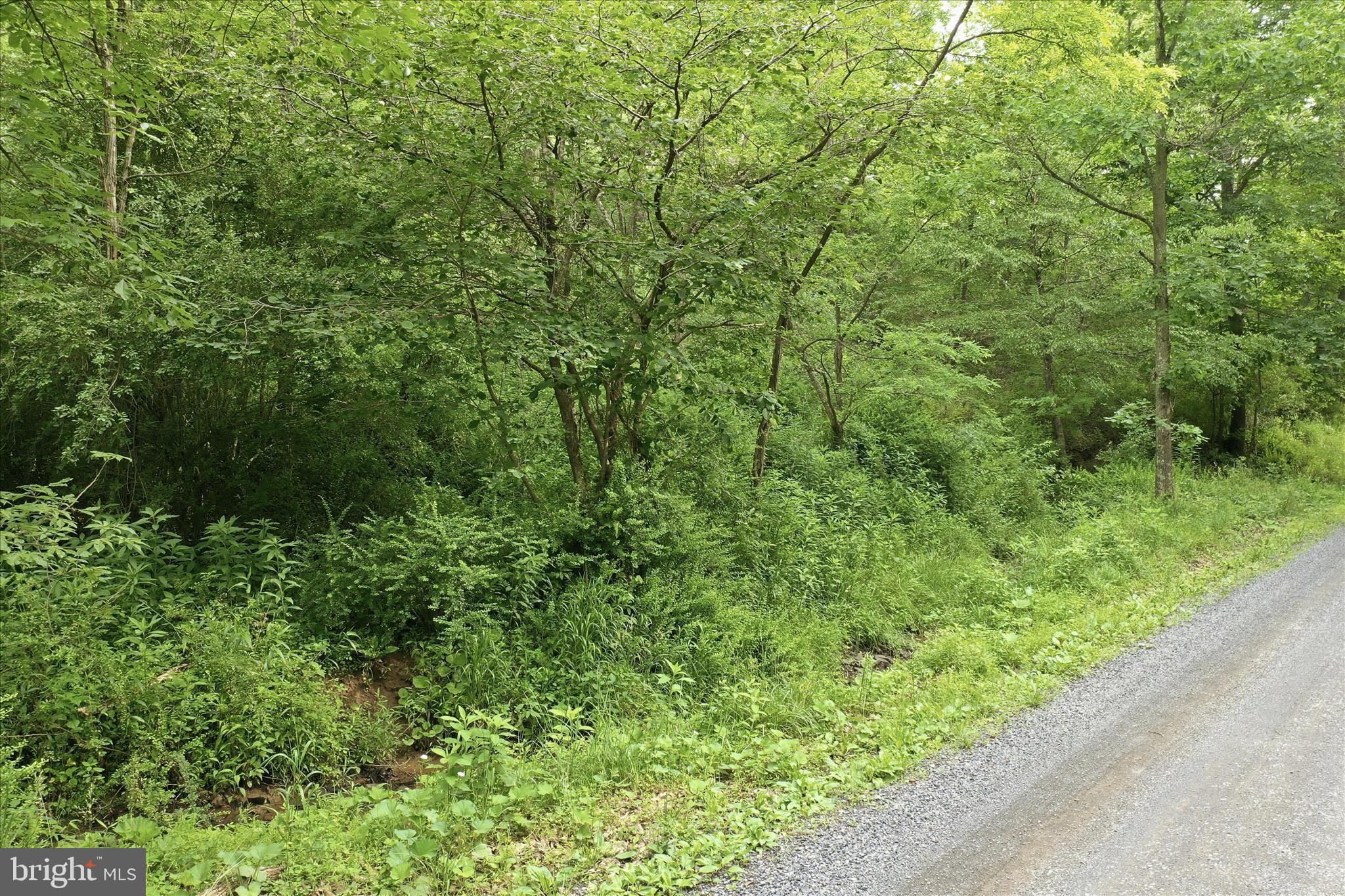 11.95-ac Luxemburg Road Baker, WV 26801 - Photo 8 of 23