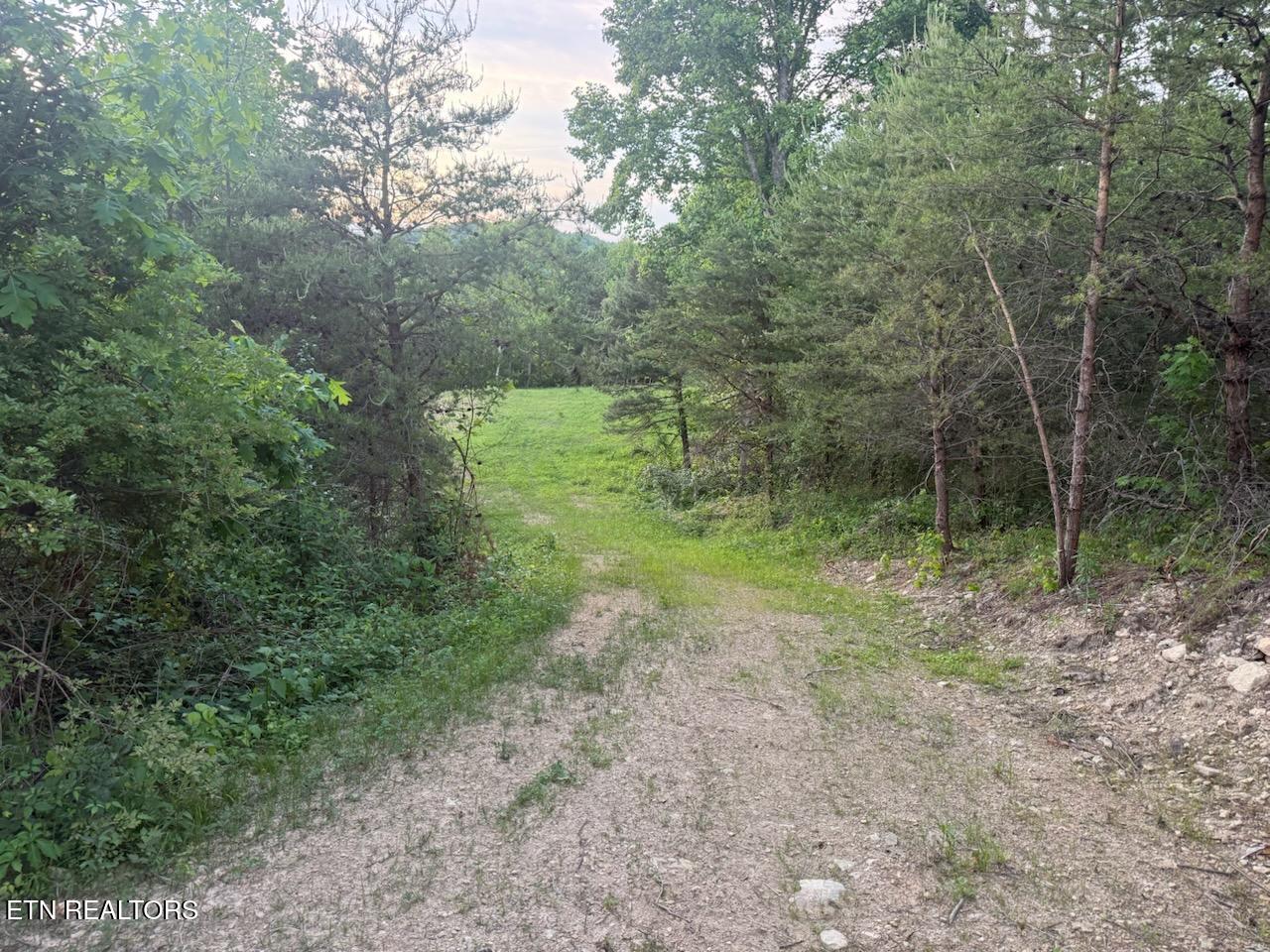 4 Rd Lafollette Tn 37766 La Follette, TN 37766 - Photo 24 of 37 IMG956506