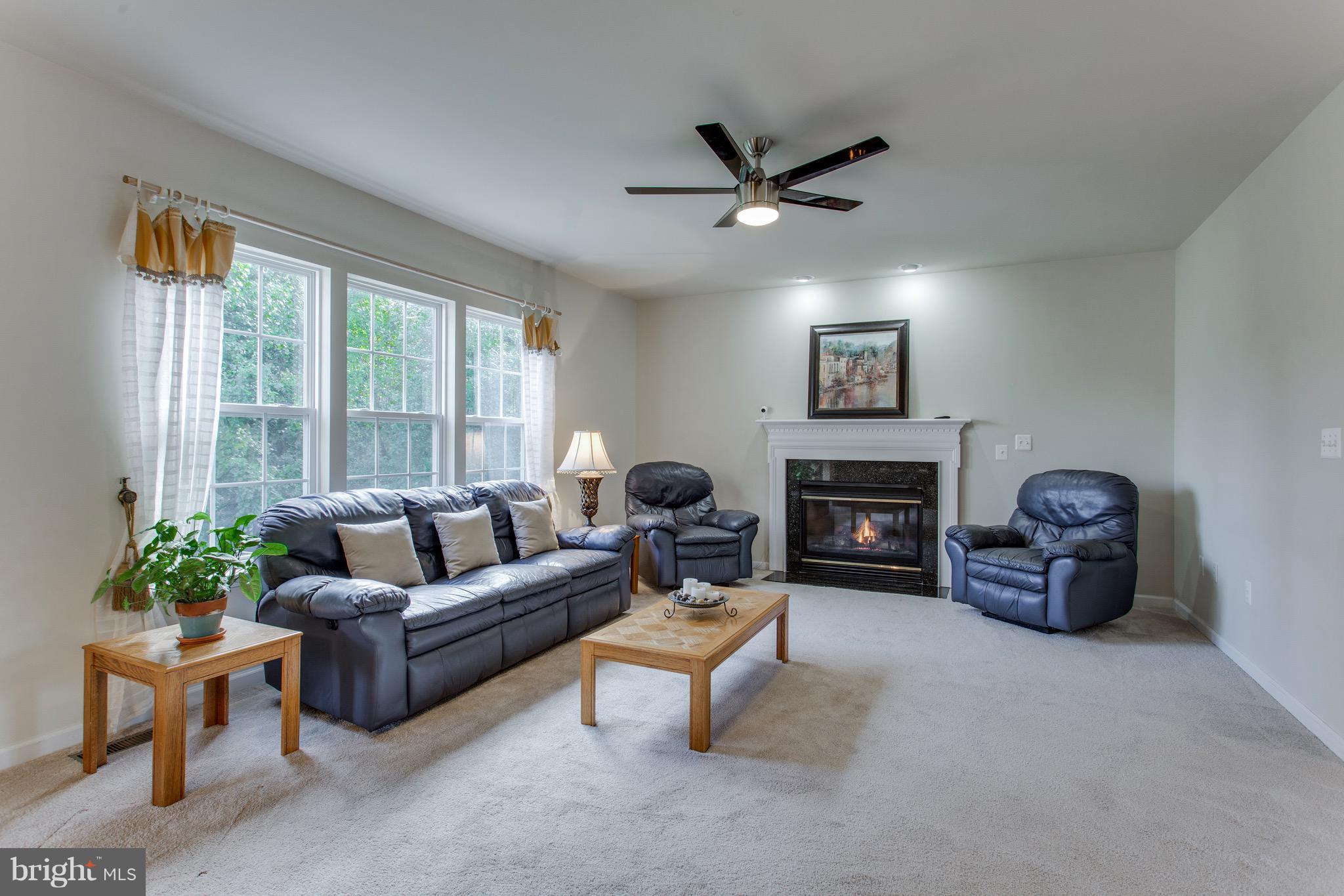 25868 Spring Farm Circle Chantilly, VA 20152 - Photo 7 of 30 Large Sunny Living Room With Gas Fire Place
